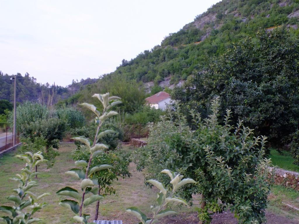 Holiday Home Ivana Virpazar Bilik gambar
