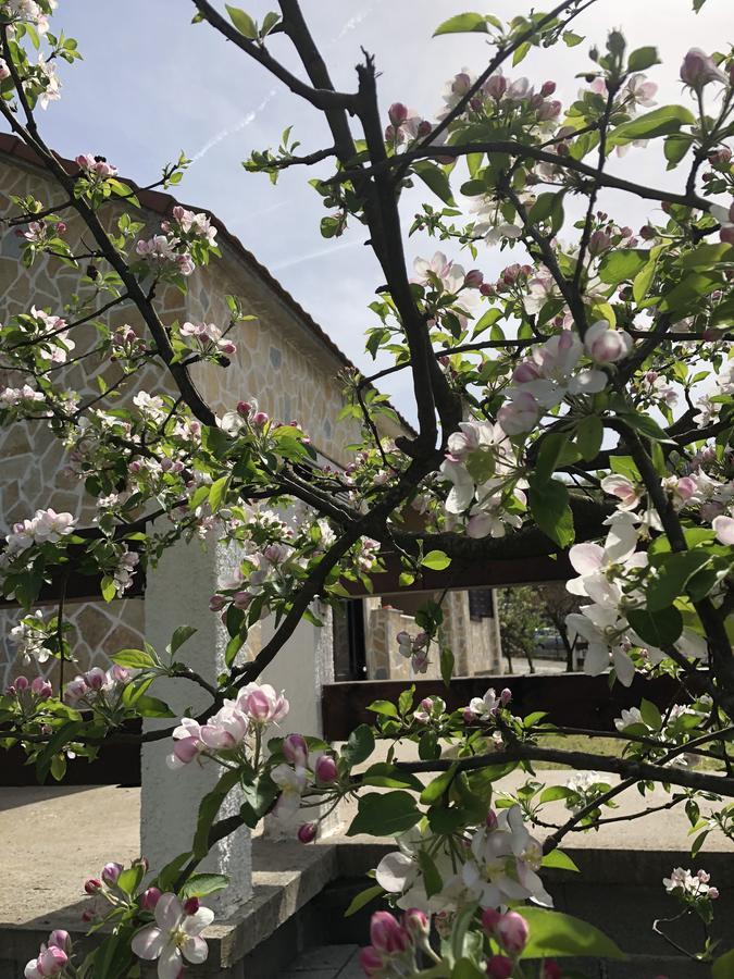 Holiday Home Ivana Virpazar Luaran gambar